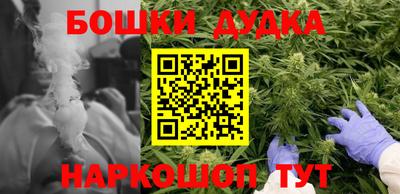 индика Тулун