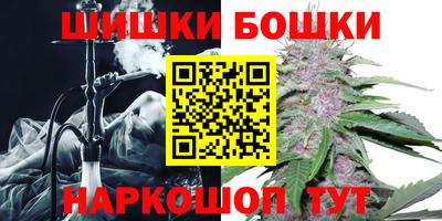 индика Тулун