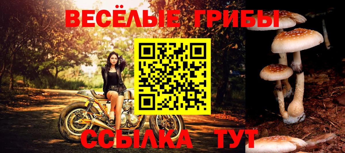 Галлюциногенные грибы прущие грибы  Вход с VPN  Нижневартовск 