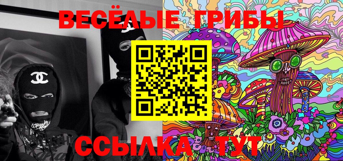 Псилоцибиновые грибы Psilocybe Нижневартовск